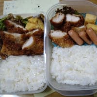 我が家のお弁当🍱(∩´∀｀)∩ﾜｰｲ　2025/07/12とその前