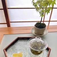 レンジで煎茶を作ってみた🍵