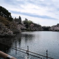 今年はムズかった(;´･ω･)