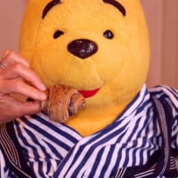 プーさん　北海道河東郡音更町　十勝川温泉　富士ホテルに　また行ったんだよおおう　最終章