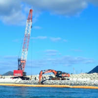 海上からＫ６護岸建設とサンゴの移植に向けた作業に抗議