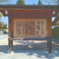 HISが公式インスタフォロワー1万人突破記念ツアーを出していたので参加