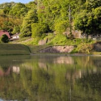 里山の風景。
