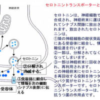 【日本人がポジティブシンキングになじめない本当の理由Ver1.02】