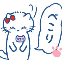 ８月下旬までに引っ越し先を決めたいと思います。(No.1514)