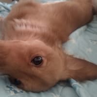ストからのダッシュ（笑）