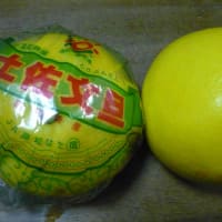 ぶんたん
