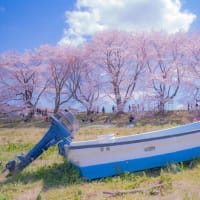 東日本大震災から10年。「花が咲く」「山笑う」