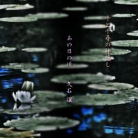 【Piano】映画「千と千尋の神隠し」より「あの日の川」を弾きました