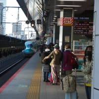 東京駅２０番線ホームを発着する東北新幹線はやぶさ３号　新青森行き