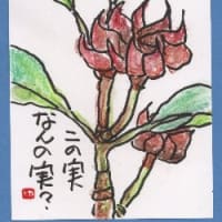 気になる実