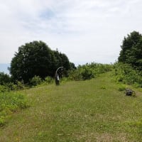 花とともに花立峠・長工新道・枡形山・萱峠③　2025/06/06