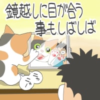 「メイは分かってる」