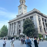 湖北省茶の旅での国際交流会