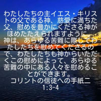 情けなく犯罪都市日本(つぶやき)