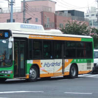 P-S154