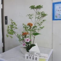 篠窪（しのくぼ）の隣町 龍生派窪寺様が「夏の調和」を生ける(2025/06/17）