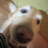 NGワード