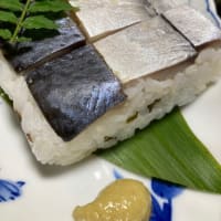 鯖の押し寿司