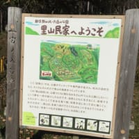 ゆるロングラン