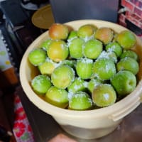 梅漬け作り準備
