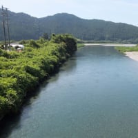 本日の海部川