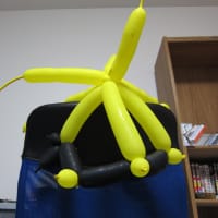 偶然らしいです
