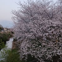 スマホで撮った写真