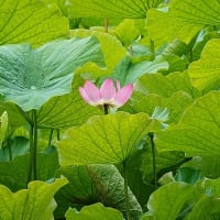 どこにも