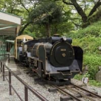 箱根湯本温泉 ホテルおかだ　人気の観光スポット