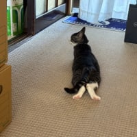 暑かった！