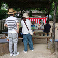 2025年7月6日（日）筑波山神社の風景、猛暑で熱中症予防の為か人では少なく目だが山好きは山頂を目指す