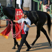 24京成杯ＡＨの写真と我が一口愛馬の話