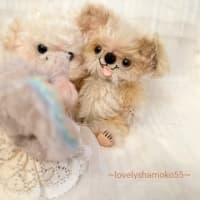 ピッピちゃん＆とっとちゃん…ｵﾐｵｸﾘｼﾞｭﾝﾋﾞﾁｭｳ~
