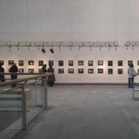 モノクロ写真展『THE MONOCHROME 2025』に行ってきました♪