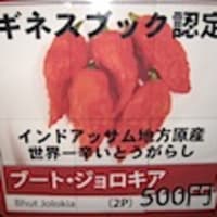 赤き死神 ブート ジョロキア栽培しました Curry Diary X 赤き死神 ブート ジョロキア栽培しました Curry Diary X