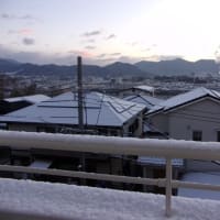 FX  相場は静かに、しかし、過激に、本流へ回帰した