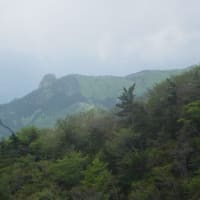 親父山～黒岳のシャクナゲ＆アケボノツツジ