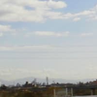 自然居士の墓