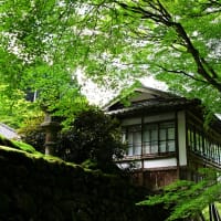 洛北大原・初秋の古知谷阿弥陀寺その３