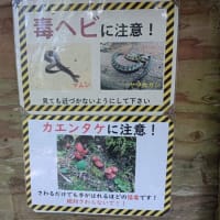 半月ぶりの金剛山（761回目）