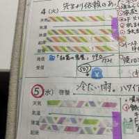 「ハビットトラッカー」のチェックを励みに〜「キルトチャレンジ2025」〜