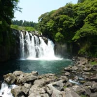 今日も一日が過ぎました、選挙には行ってきましたが。