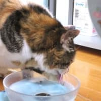 「タフ・ネゴシエイター」