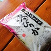 主食のコメを「買ったことがない」農水大臣ではダメだろ　きょうにも更迭だってさ！！