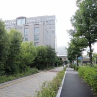 日中口述歴史・文化研究会の「国際シンポ」に参加しました