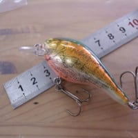 レネゲード？リーシッソン？　リアルプリントクランク　