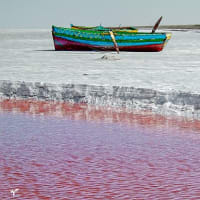 チュニジア ショット・エル・ジェリド（塩湖）： 塩の岸辺の白と湖水の赤の広大な世界
