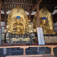 お墓参りに行ってきました