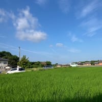 紫雲出山からおはようございます。